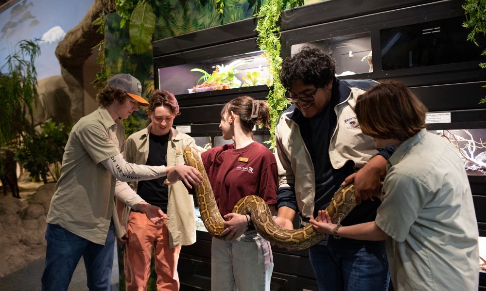 A group of PHS students holding and petting a large snake