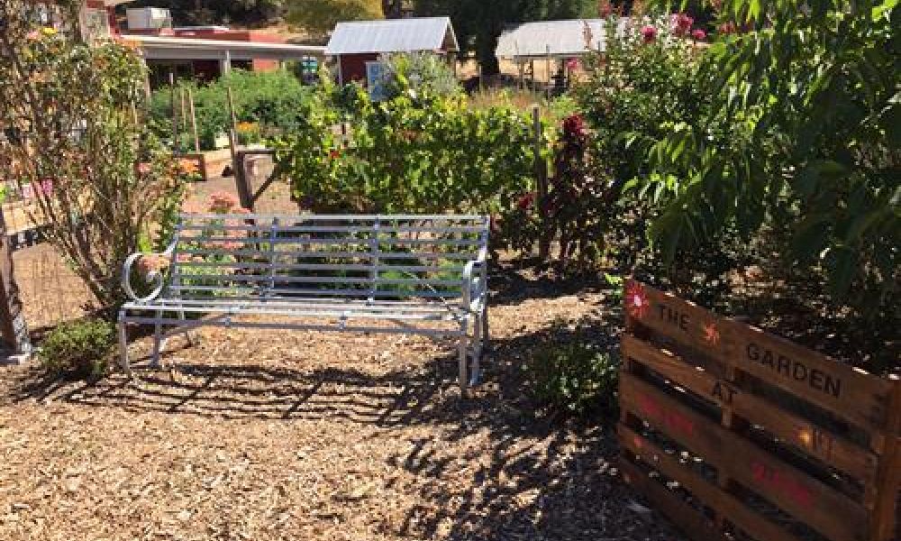 a photo of a metal bench at the Valley Vista Garden