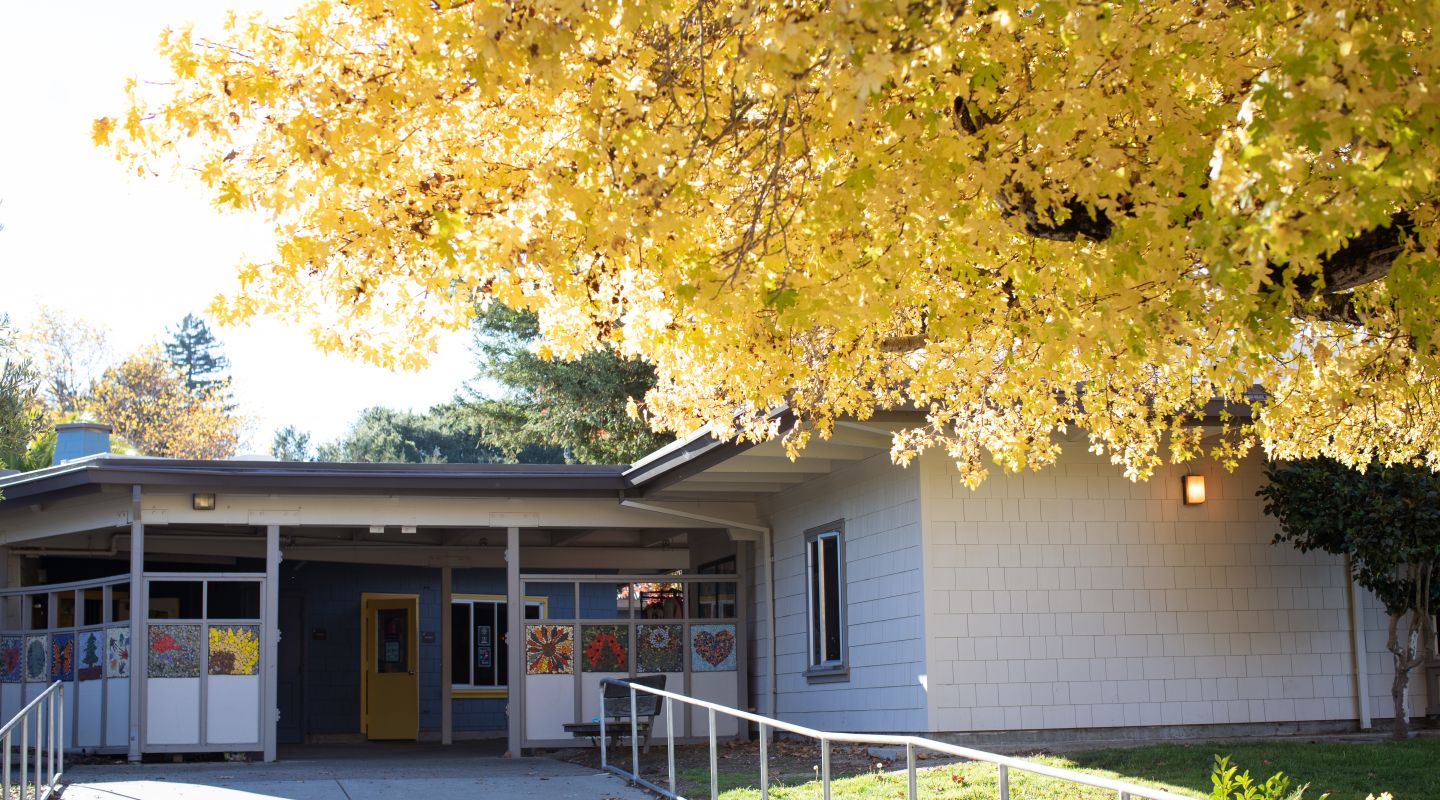 A view of the outside of a building at Mary Collins. There is a tree in the top right corner with bright yellow leaves.