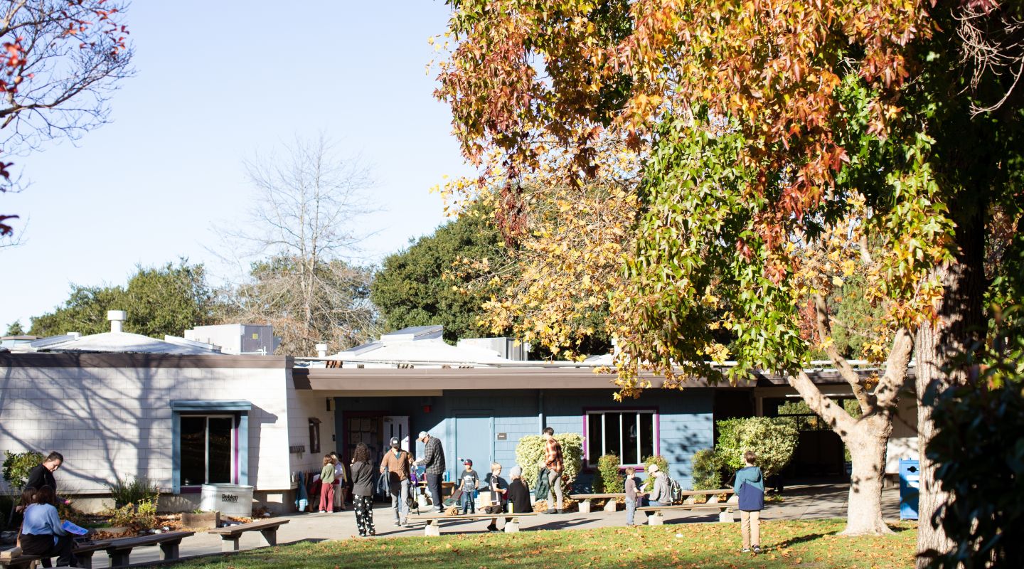 An outside view of Mary Collins with children playing outfront in the grass and at picnic benches.