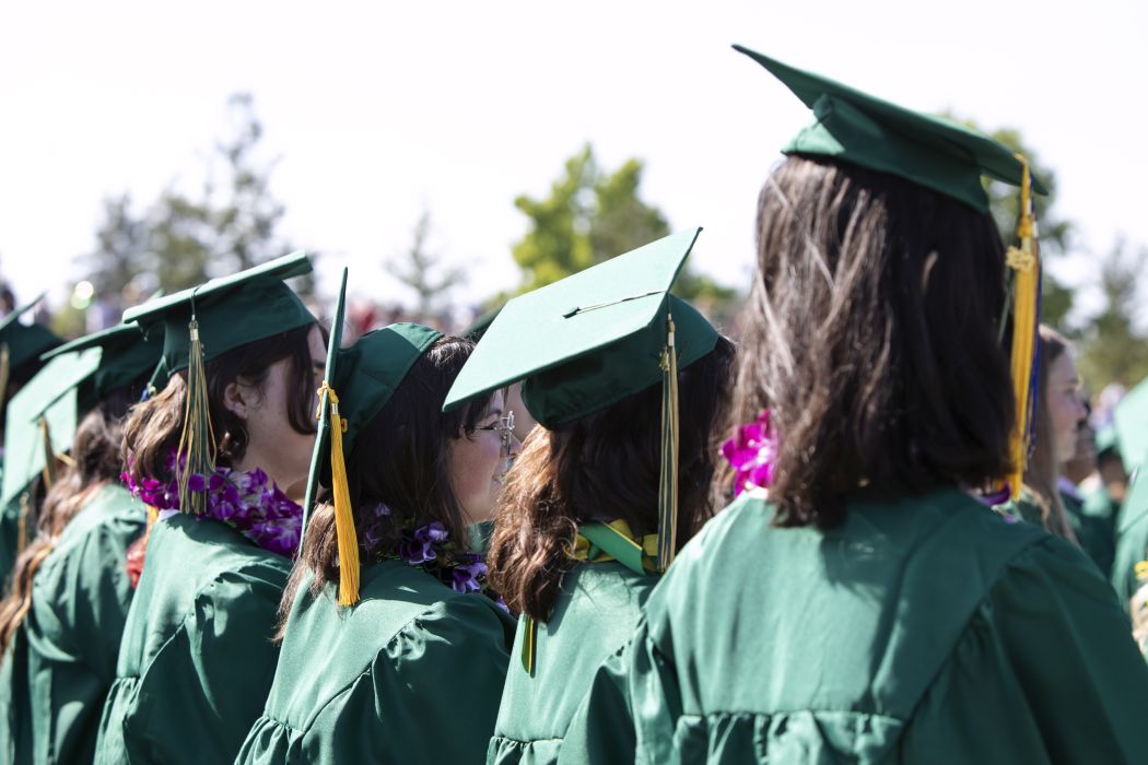 A view of students' backs while they are standing in a line, at their graduation ceremony. They are wearing green graduation caps and gowns.